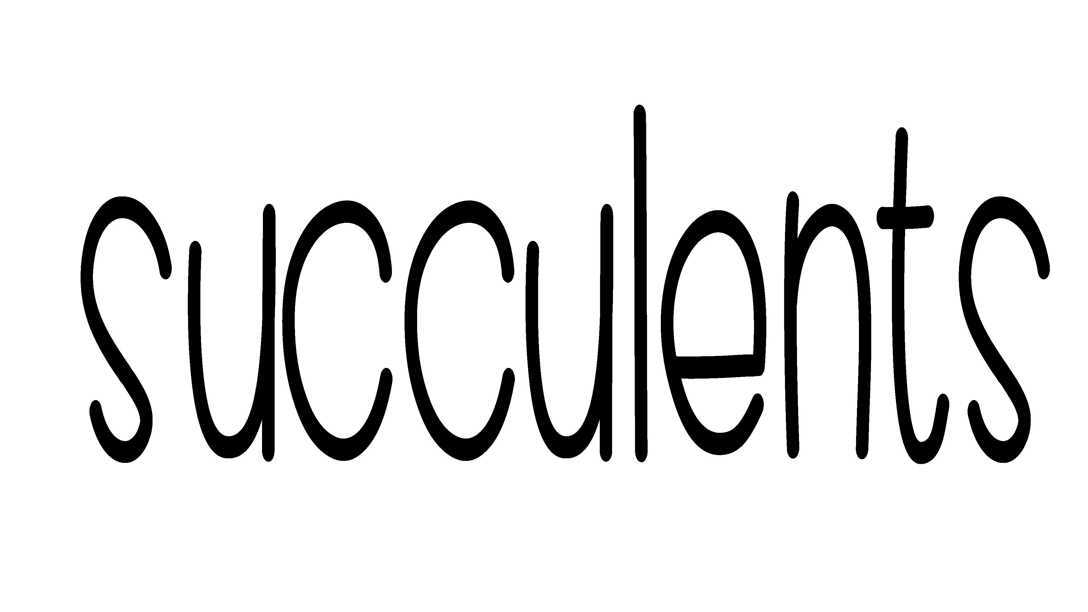 Succulents Planner Babe Box